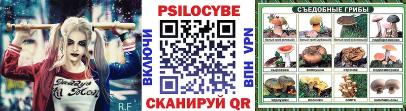 дарк нет наркотические препараты  Ивдель  Псилоцибиновые грибы GOLDEN TEACHER  как найти наркотики 